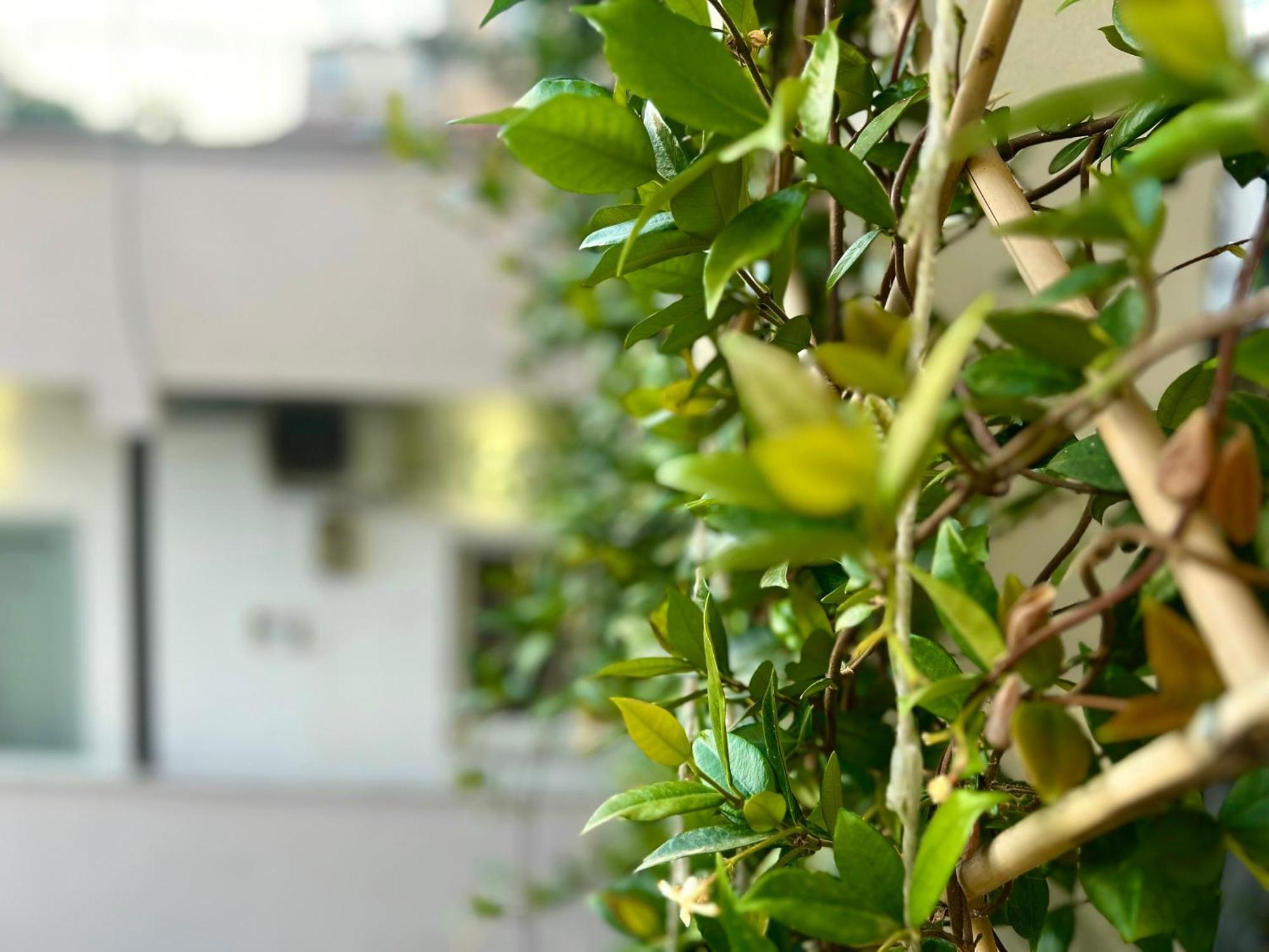 Budget Hotel Τίρανα Εξωτερικό φωτογραφία